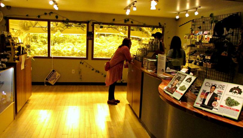 California dispensary college