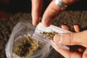 Cannabis distribution permits
