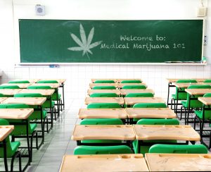 Marijuana school