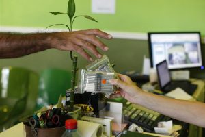 Cannabis distribution license